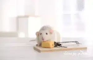 مصيدة