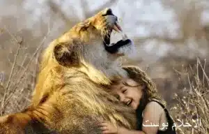 الاسد