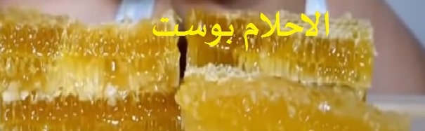 تناول عسل النحل وفوائده للجسم والشعر والبشره