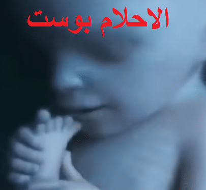 مراحل نمو الجنين بالتفصيل