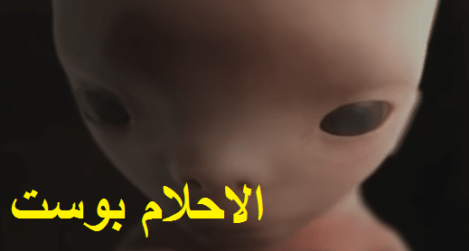 مراحل تطوير الجنين بالتفصيل