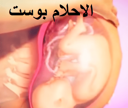 مراحل نمو الجنين بالشهور