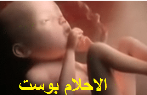 مراحل تكوين الجنين في الشهر الثامن