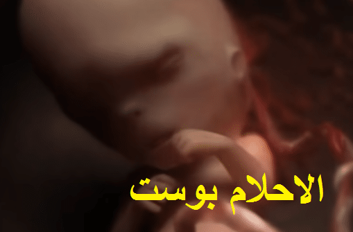 حجم راس الجنين في الشهر الرابع