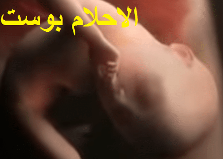 مراحل تطور الجنين في الشهر الرابع 