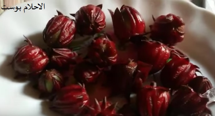 فوائد الكركديه للشعر واضراره