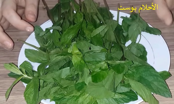 فوائد النعناع 