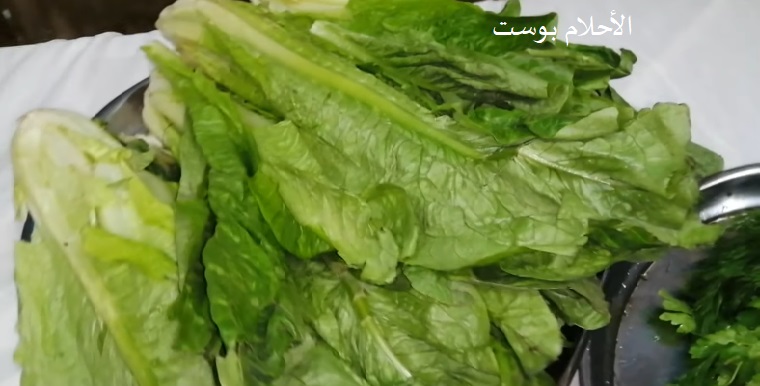 الخس وفوائدة 