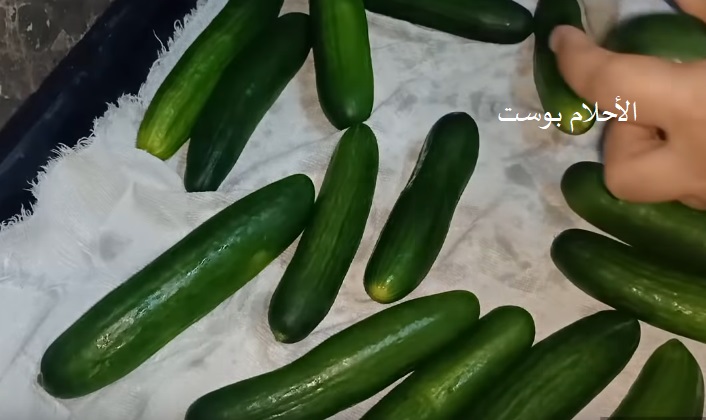 الخيار وفوائدة 