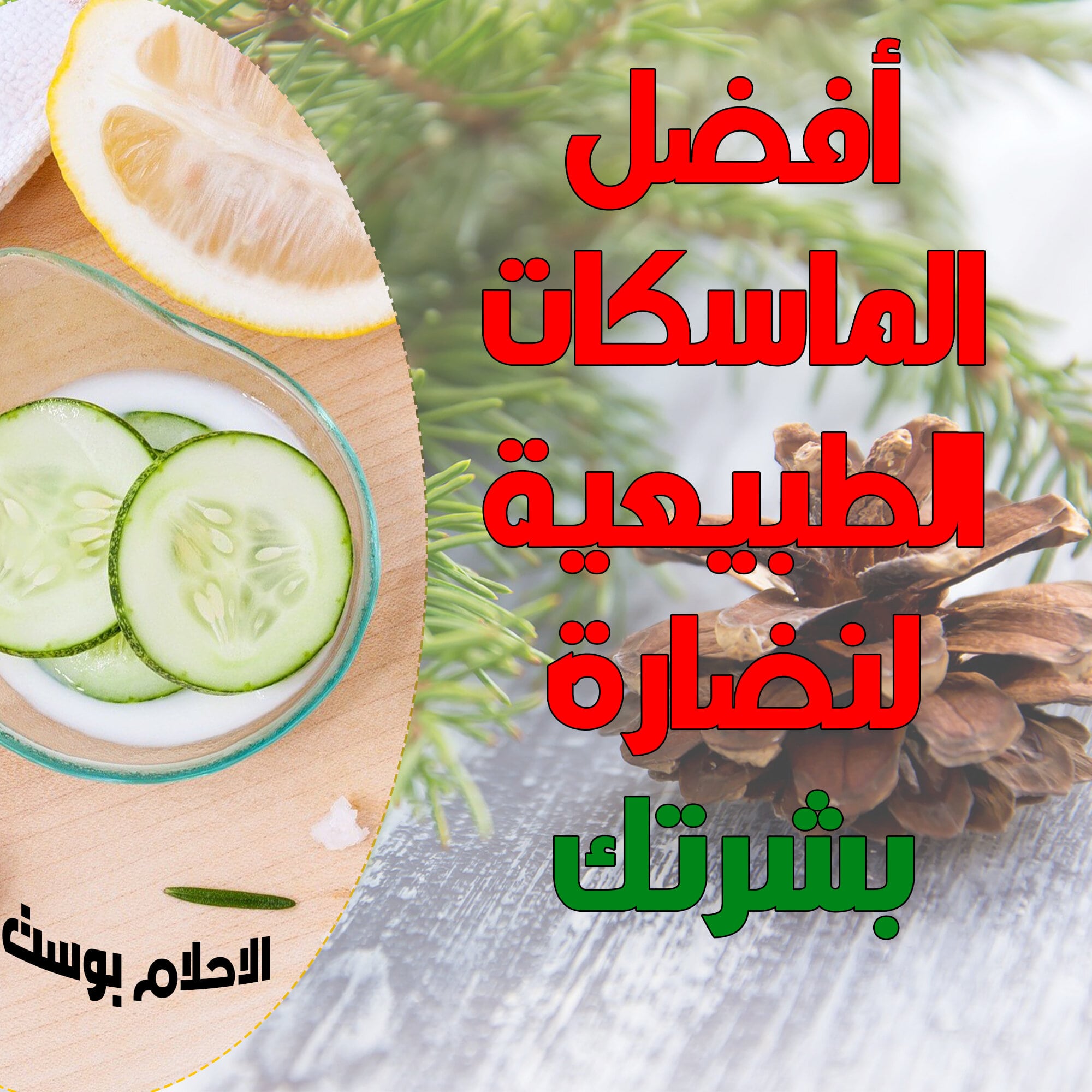 افضل الوصفات الطبيعية للبشرة