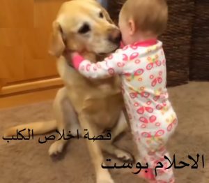 الكلب الوفي مع اللص الشرير