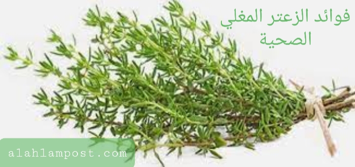 فوائد الزعتر المغلي الصحية