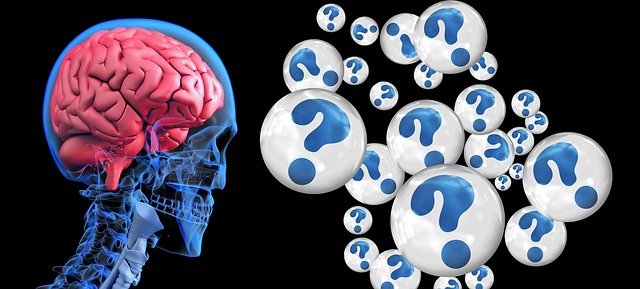 brain g5d05ab807 640