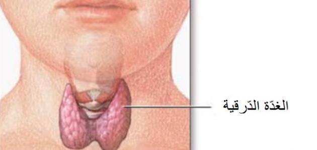 الغدة الدرقية