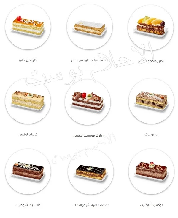 جاتو لوكس 2