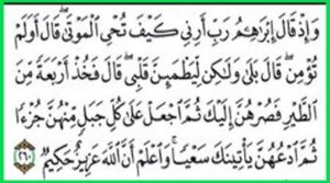 إبراهيم عليه السلام