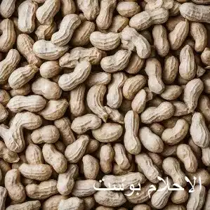 سوداني jpg