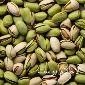 فستق