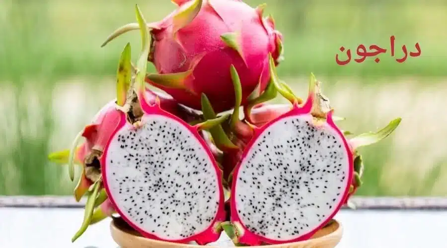 دراجون