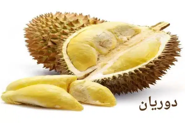 دوريان