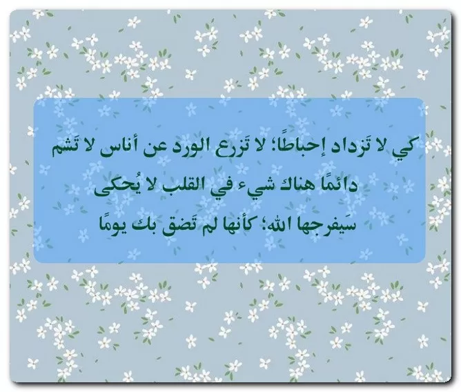 صور بايو للانستقرام