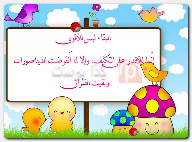 أقوال عن الناس التافهة 