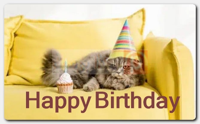 صور Happy Birthday مضحكة