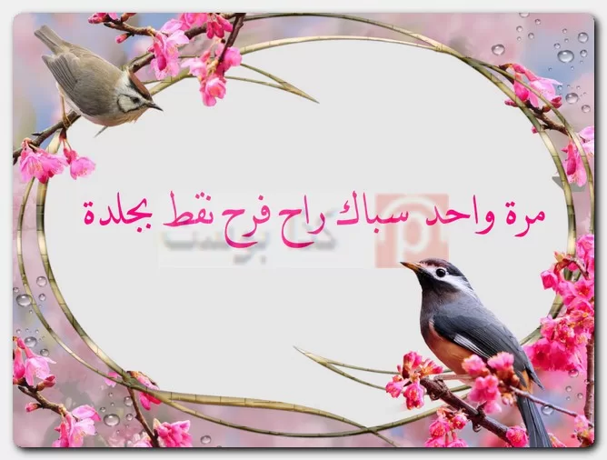 عبارات ساخرة عن الناس التافهة