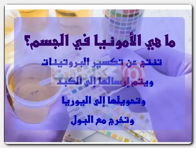 هل الأمونيا هي النشادر؟