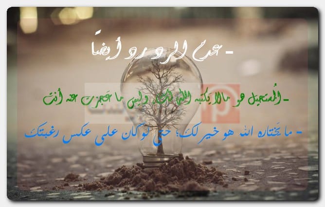 حالات واتس أب بالصور