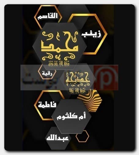 عدد زوجات الرسول صحيح البخاري 