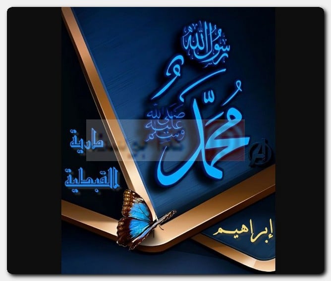 عدد زوجات الرسول صحيح البخاري 