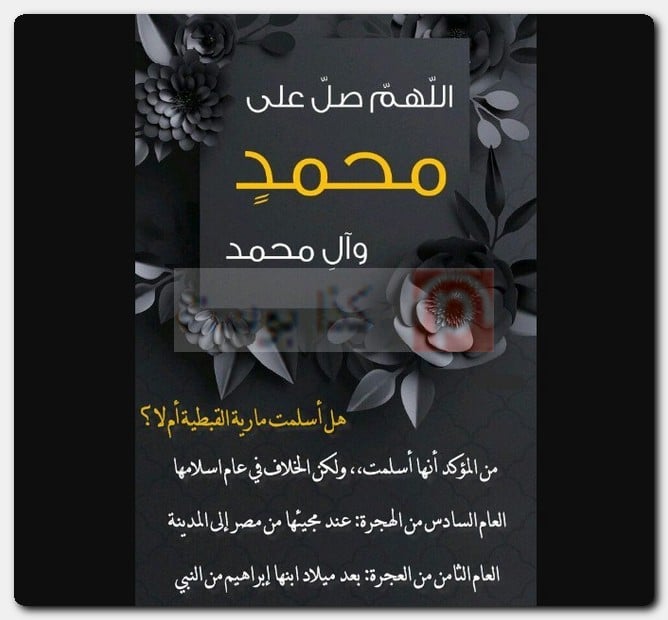 عدد زوجات الرسول صحيح البخاري 