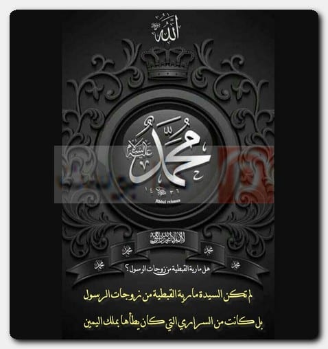 عدد زوجات الرسول صحيح البخاري 
