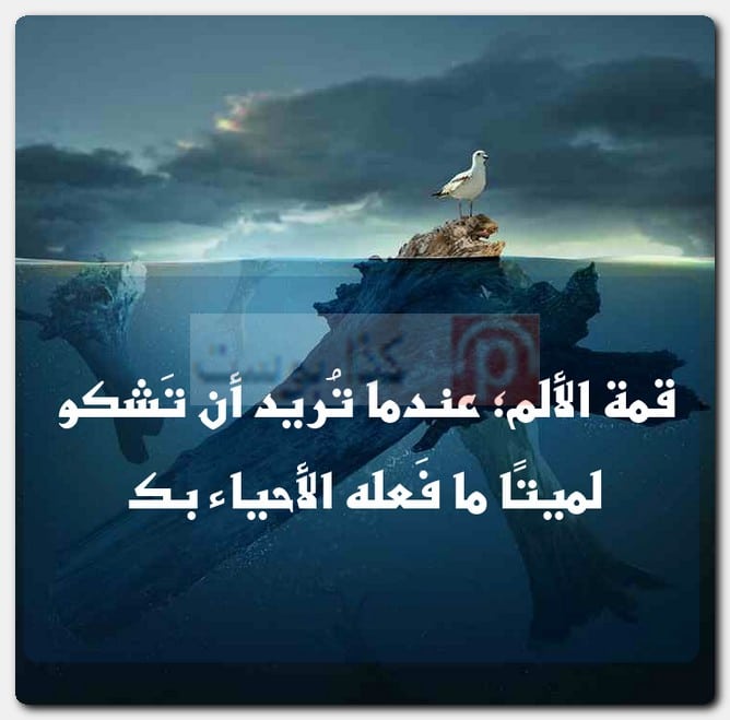 مجموعة مُنوعة من حالات واتس أب مُصورة