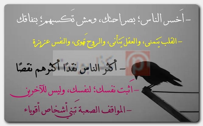 مجموعة مُنوعة من حالات واتس أب مُصورة