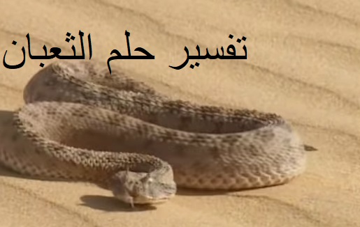تفسير رؤية الثعبان في المنام