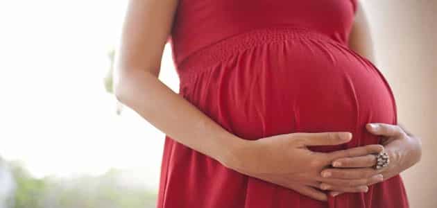 تفسير حلم الحمل للعزباء