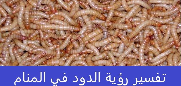 تفسير رؤية الدود في المنام