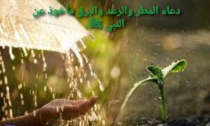 دعاء المطر
