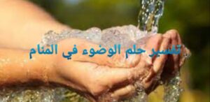 الوضوء في المنام