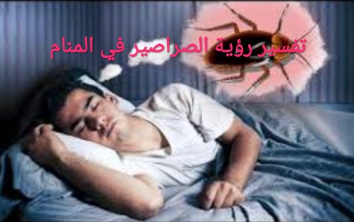 الصراصير في المنام